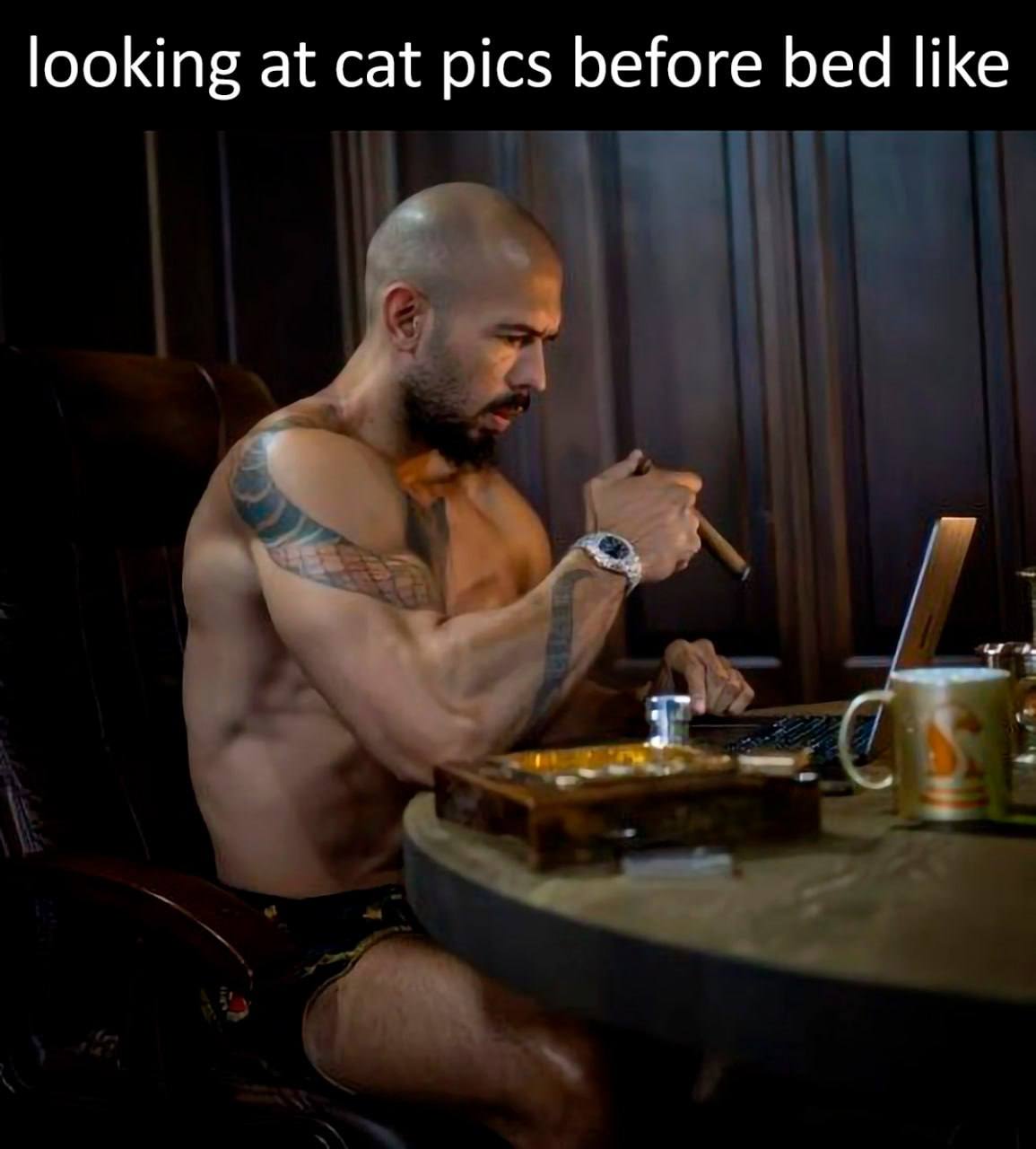 looking at cat pics before bed like