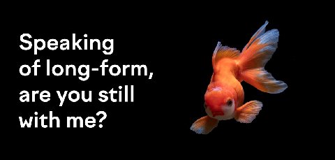 ЗреаКта of long-form, are you still with me?