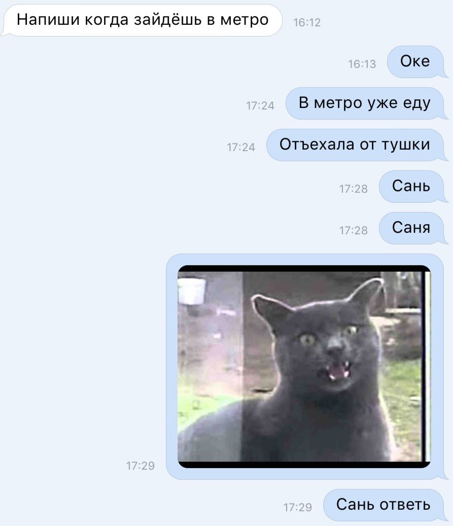 Когда тебе не отвечает Саня