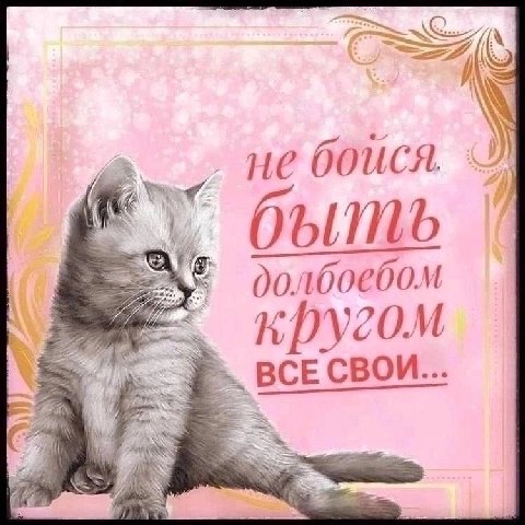 не боися. долбоебом кругом BCE CBOM...
