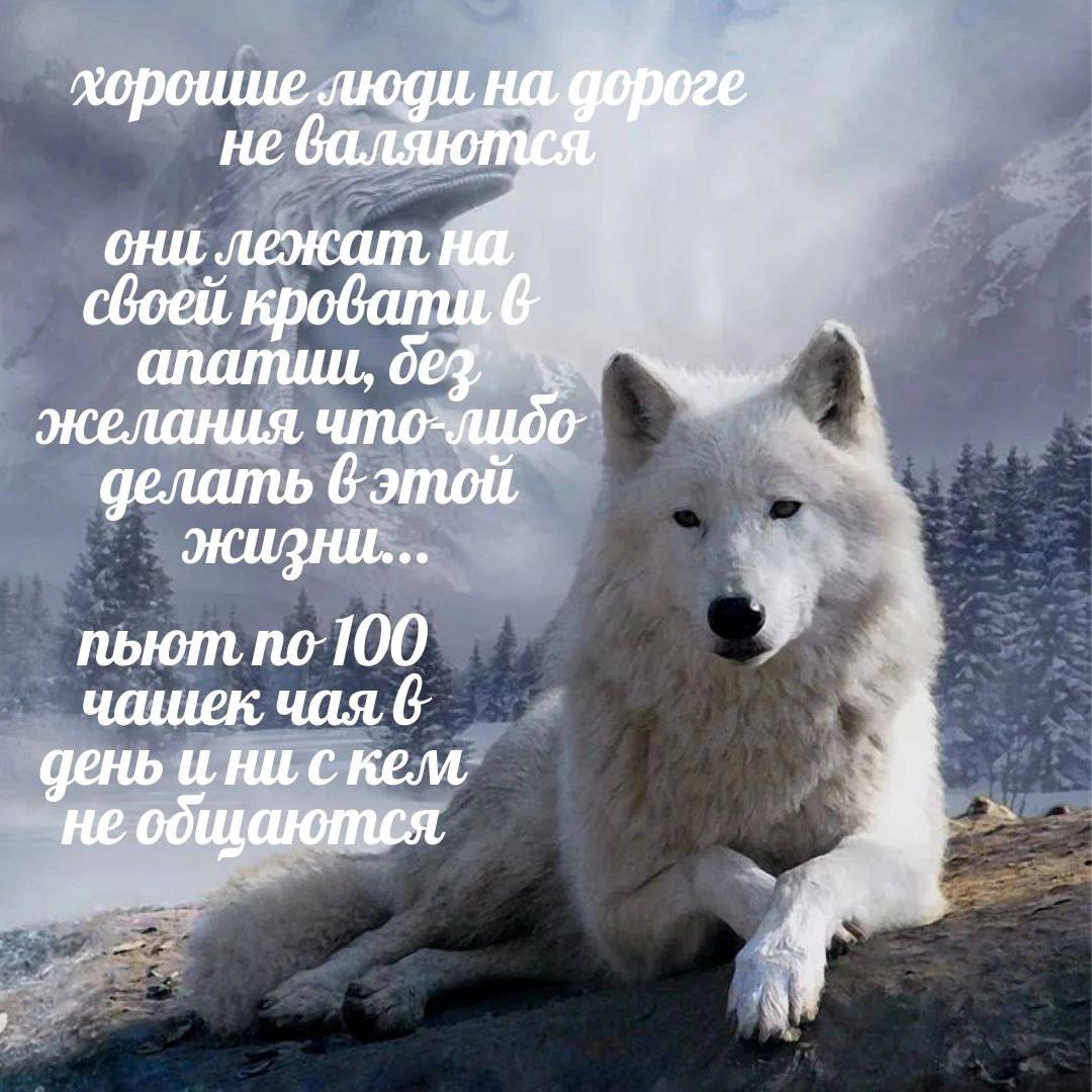 хороише люди неб своей, они лежат, желания что-лидо- апатии, делать пьют, по-100 чашек, чая, 6 день и ни с кем не оощаются, 4 7