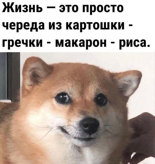 Жизнь это просто череда из картошки гречки макарон риса.