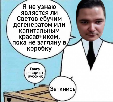 Я не узнаю является ли Светов ебучим дегенератом или капитальным красавчиком, пока не загляну в коробку Гаага разоряет русских