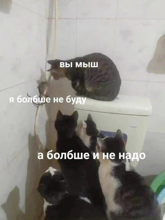 вы мыш я болбше не буду а болбше ине надо