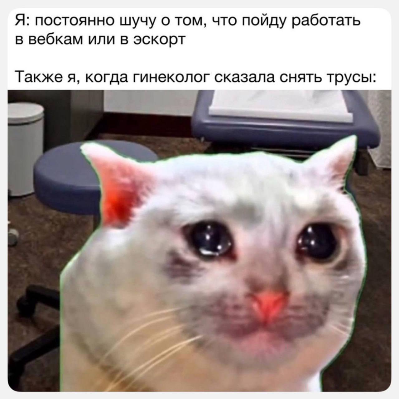 Я: постоянно шучу о том, что пойду работать в вебкам или в эскорт Также я, когда гинеколог сказала снять трусы: я