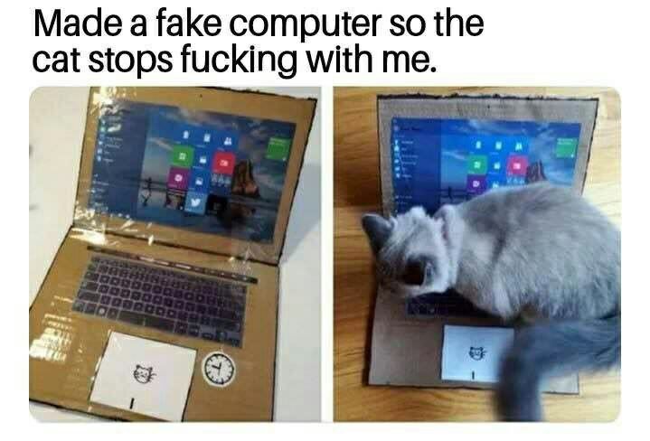Made a fake computer so the cat stops fucking with me. a