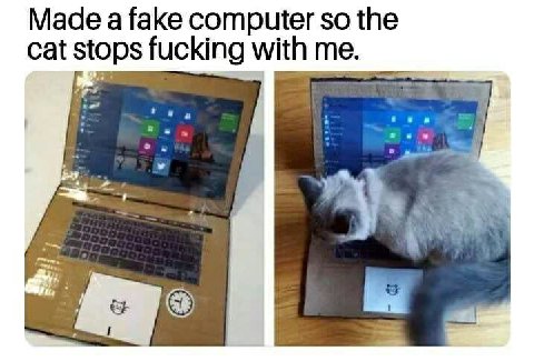 Made a fake computer so the cat stops fucking with me. a