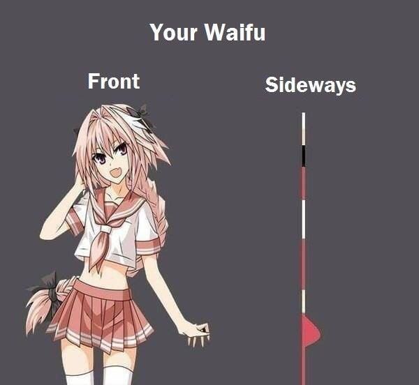 Your Waifu Front Sideways