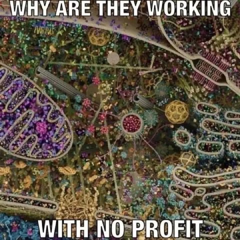 WHY АВЕ THEY WORKING WITH NO PROFIT