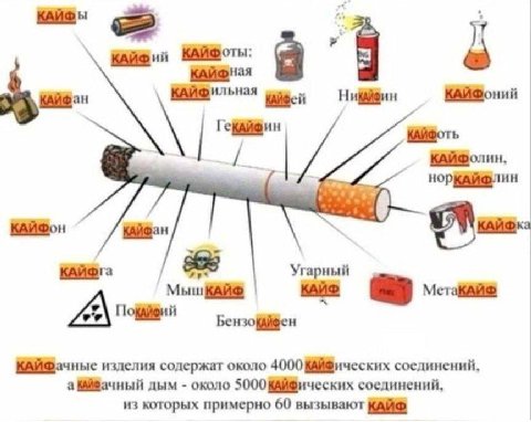 КАЙФы КАЙФ КАЙФная КАЙФан ГекАЙФин 2 55 Угарный КАЙФачные изделия содержат около 4000 КАЙФических соединений, а дым около 5000 КАЙФических соединений, из которых примерно 60 вызывают КАЙФ