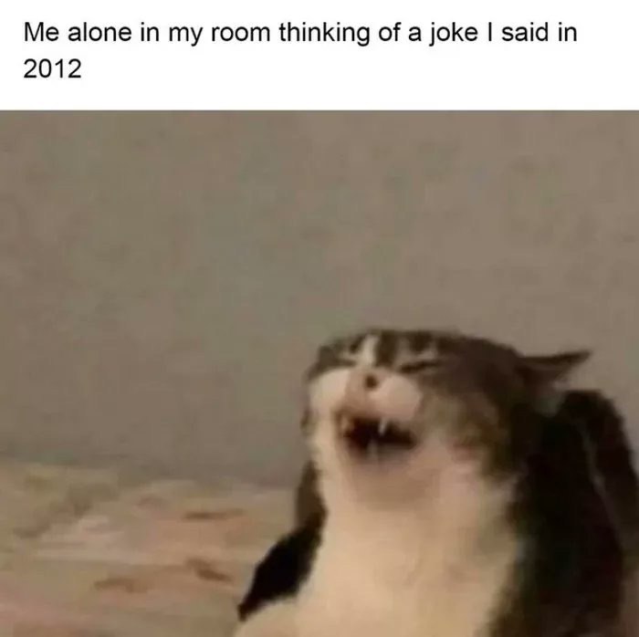 Me alone in my room thinking of a joke said in 2012
