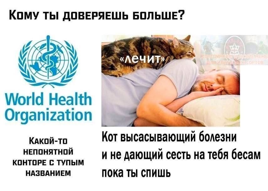 КОМУ ТЫ ДОВЕРЯЕШЬ БОЛЬШЕ? World Health Organization КАКОЙ-ТО Кот высасывающий болезни НЕПОНЯТНОЙ КОНТОРЕ С ТУПЫМ и не дающий сесть на тебя бесам НАЗВАНИЕМ пока ты спишь