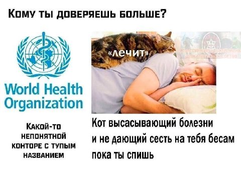 КОМУ ТЫ ДОВЕРЯЕШЬ БОЛЬШЕ? World Health Organization КАКОЙ-ТО Кот высасывающий болезни НЕПОНЯТНОЙ КОНТОРЕ С ТУПЫМ и не дающий сесть на тебя бесам НАЗВАНИЕМ пока ты спишь