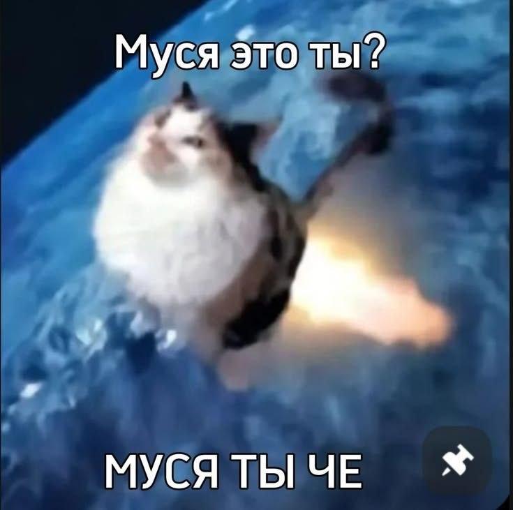 Муся это ты? МУСЯТЫЧЕ