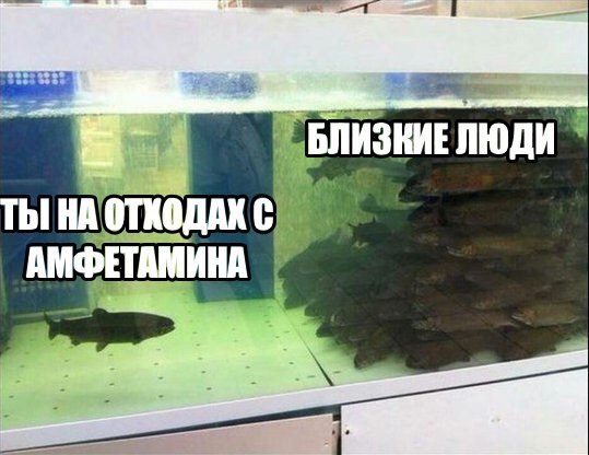 i БЛИЗ НА АМФЕТАМИНА 1+