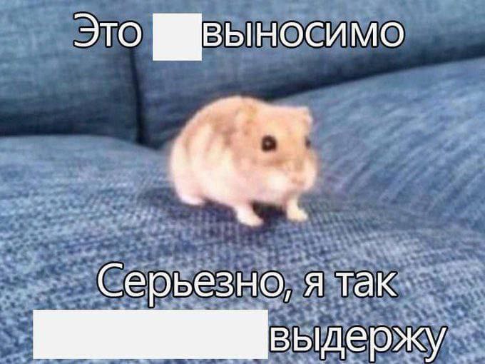 Это Серьезно, я так. держу