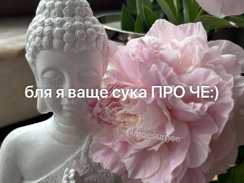 ama 7. 4 бля я ваще сука ПРО ЧЕ:)