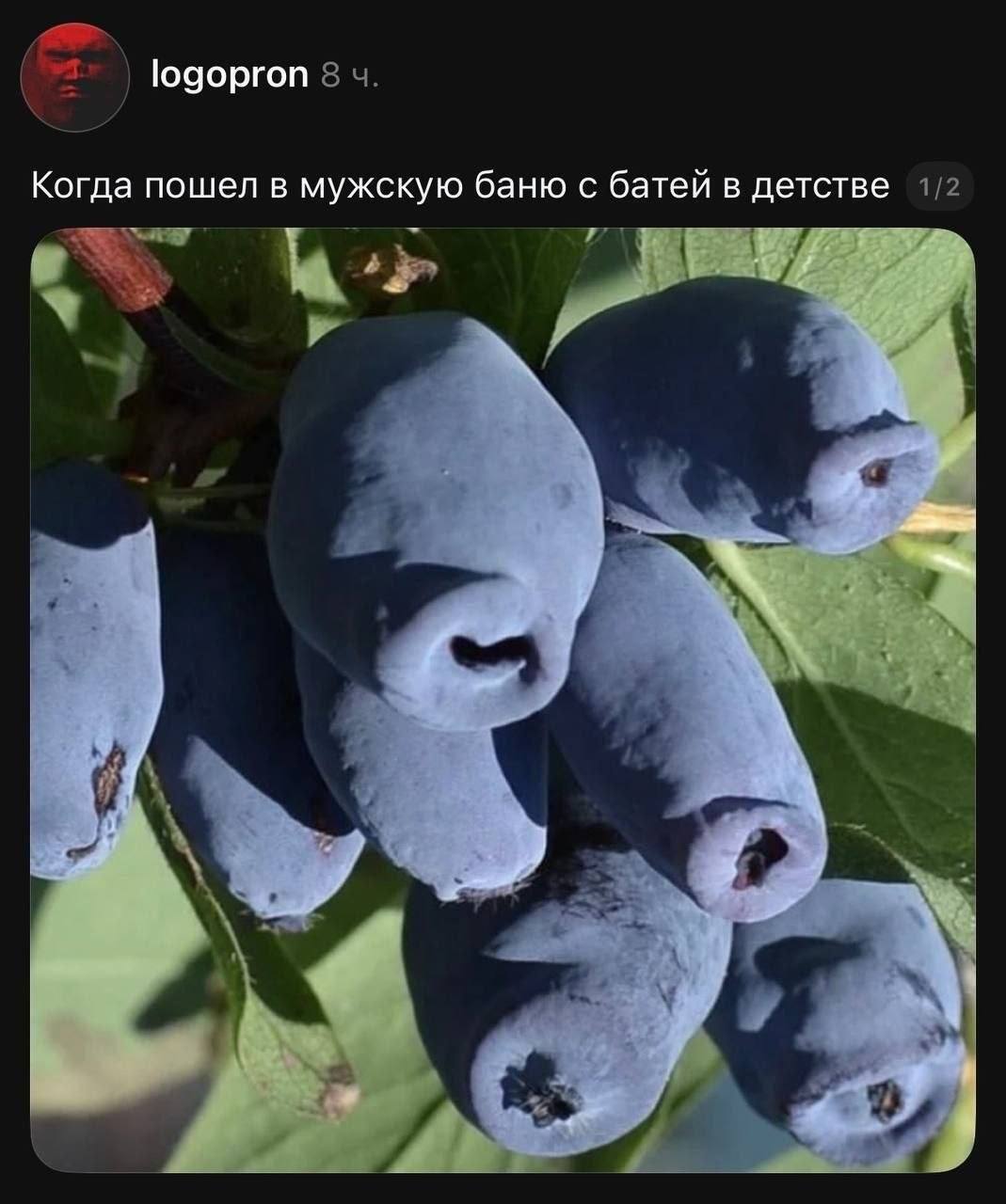 logopron Когда пощел в мужскую баню с батей в детстве