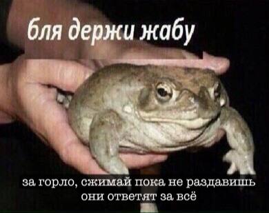 4 жабу за, горло, сжимай пока, не раздавишь они ответят за, всё