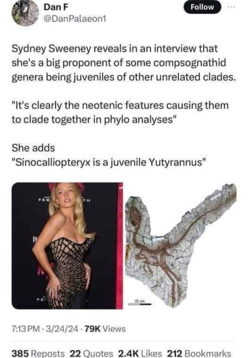 Sydney Sweeney reveals an interview that she's a big proponent of some compsognathid genera being juveniles of other unrelated clades. "It's clearly the neotenic features causing them to clade togethe