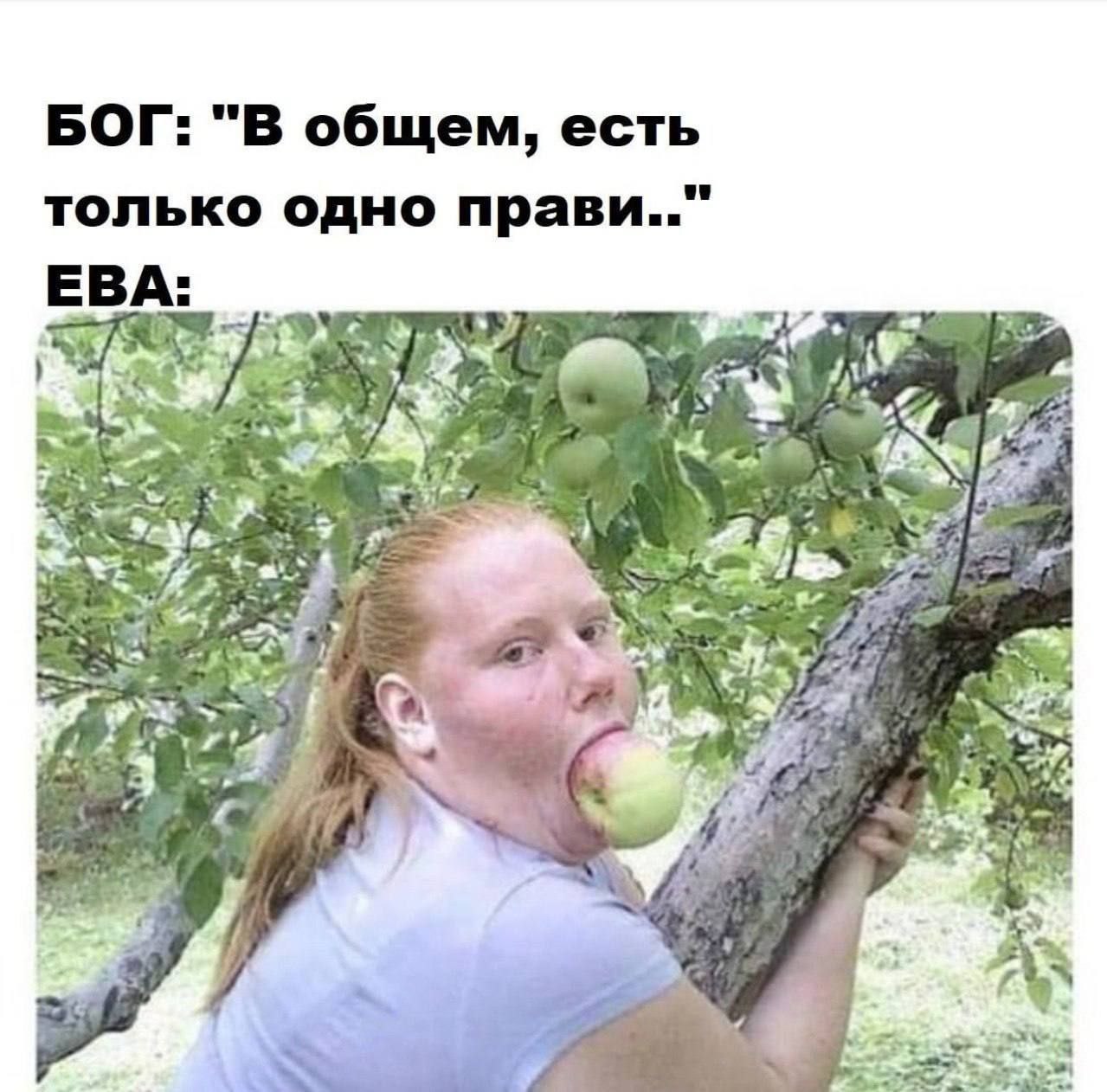БОГ: "В общем, есть только одно прави.." ЕВА a I a