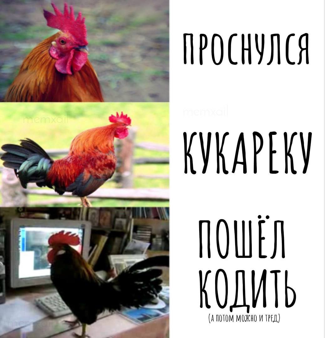 ПОШЕЛ