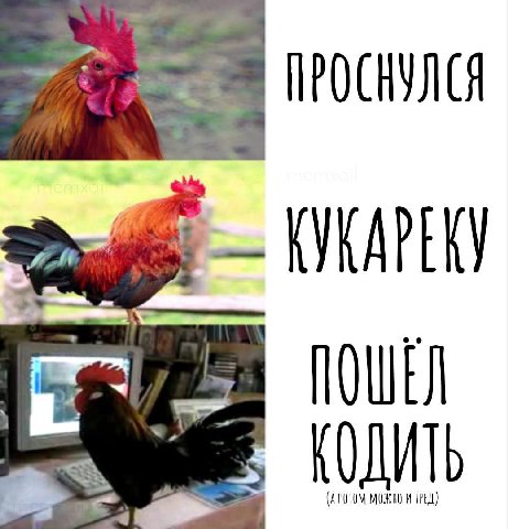 ПОШЕЛ