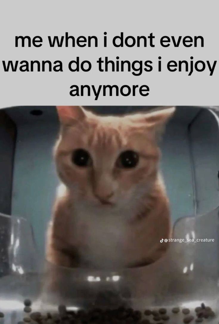 me when i dont even wanna things i enjoy anymore у