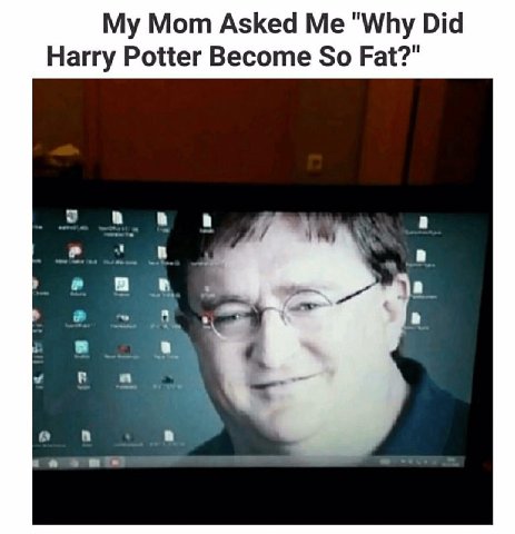 Mom Asked "Why Did Harry Potter Become So Fat?" a