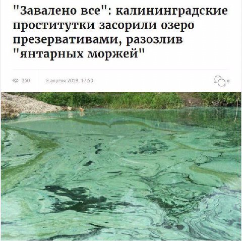 км янтарный морж