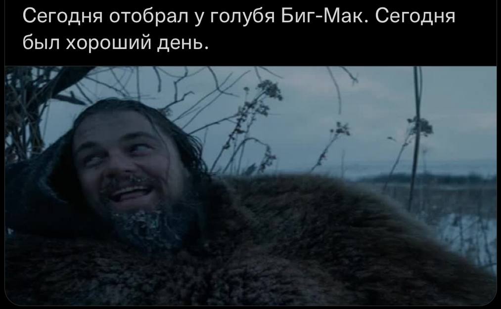 Сегодня отобрал у голубя Биг-Мак. Сегодня был хороший день.
