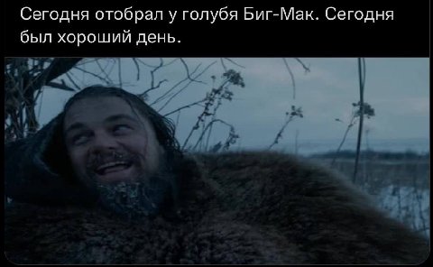 Сегодня отобрал у голубя Биг-Мак. Сегодня был хороший день.