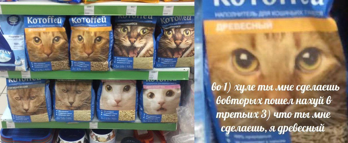 и Gol) хуле мне сделаешь А Gobmopux пошел нахуй 6 третьих 3) umo mot мне сделаешь, я древесный