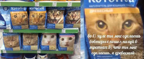 и Gol) хуле мне сделаешь А Gobmopux пошел нахуй 6 третьих 3) umo mot мне сделаешь, я древесный