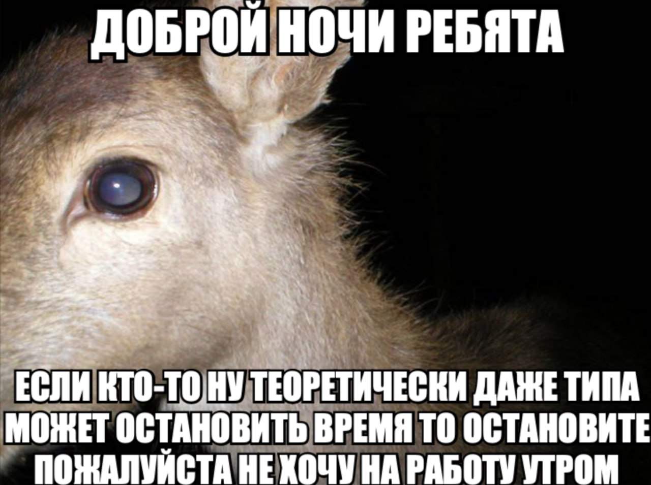 ДОБРОЙ НОЧИ РЕБЯТА КТО-ТО.НУ ТЕОРЕТИЧЕСКИ ТИПА МОЖЕТ ОСТАНОВИТЬ ВРЕМЯ ТО ОСТАНОВИТЕ НА РАБОТУ УТРОМ