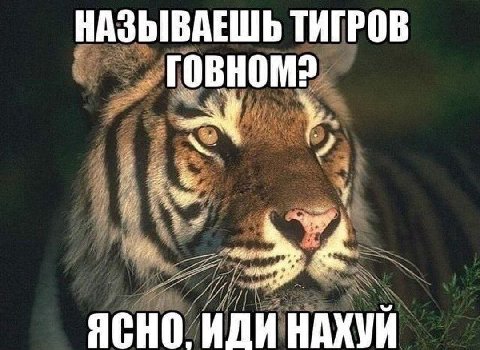 НАЗЫВАЕШЬ ТИГРОВ ИДИ НАХУЙ