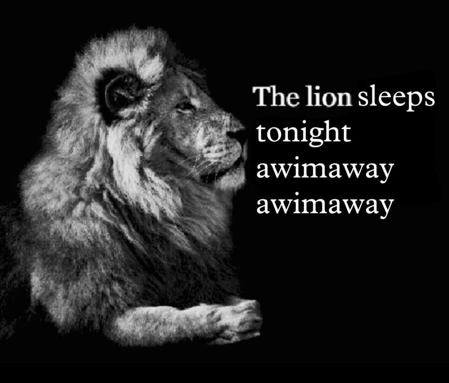 The Поп sleeps tonight awimaway awimaway