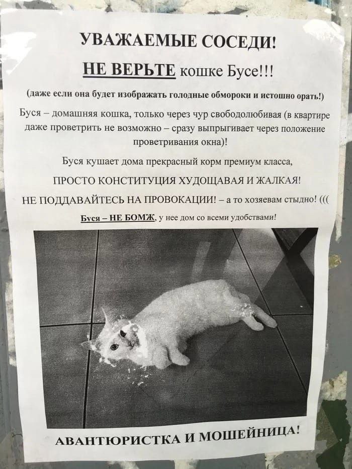 распространите