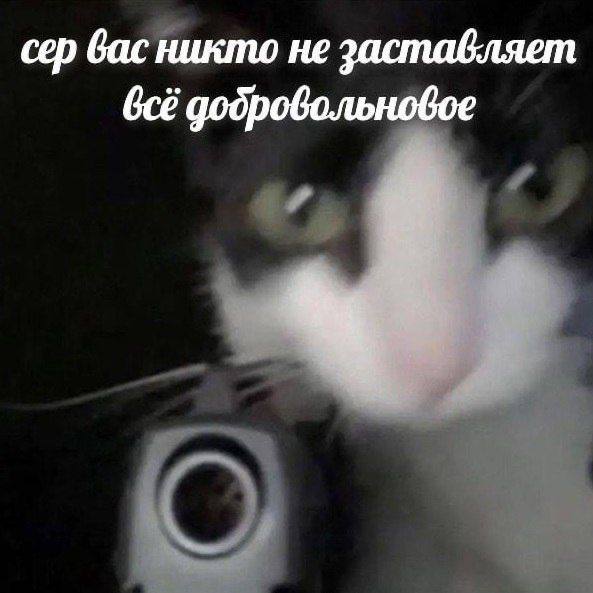 сер вас никто не заставляет всё добровольновое
