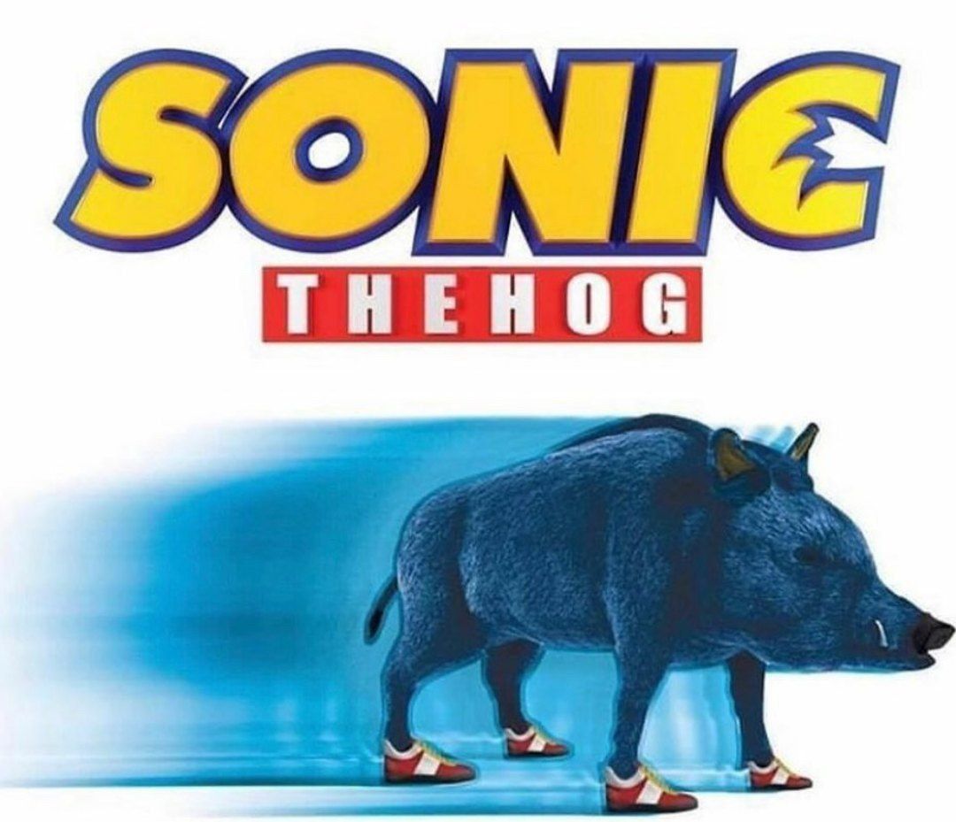 SONIG THEHOG