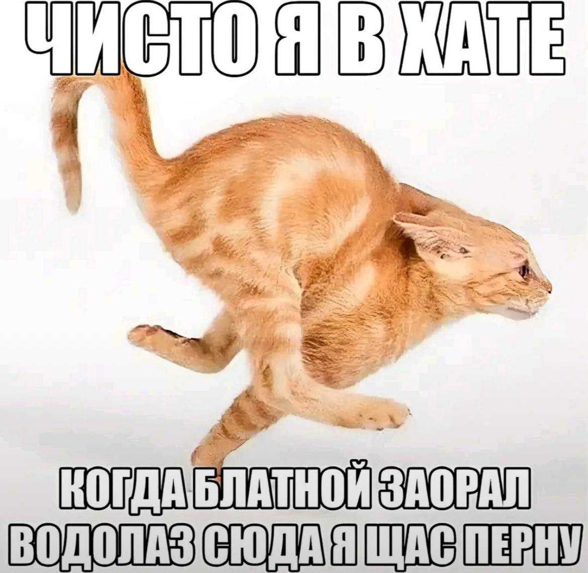 КОГДАБЛАТНОЙ ЗАОРАЛ