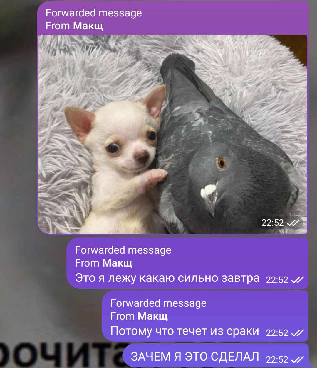 Часто я задаюсь вопросом почему меня все ещё не уволили нахуй