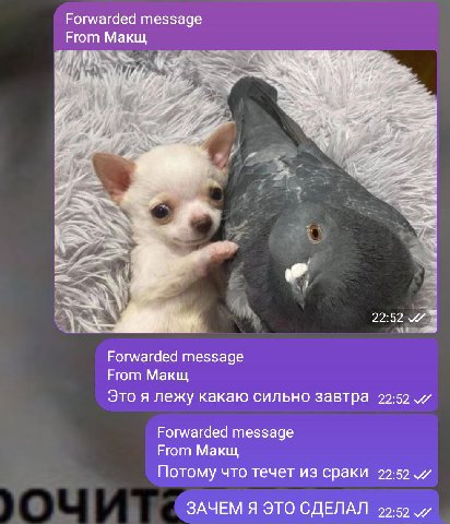 Часто я задаюсь вопросом почему меня все ещё не уволили нахуй