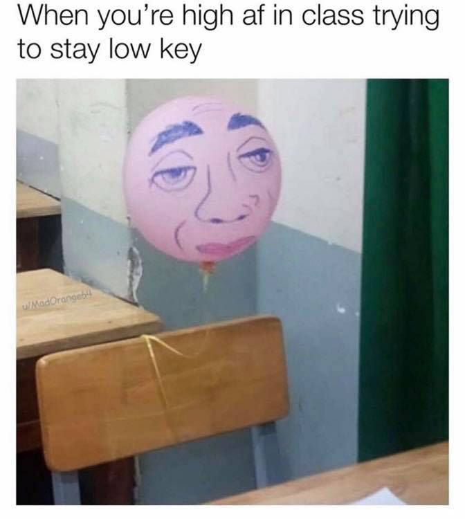 When you’re high in class trying to stay low key