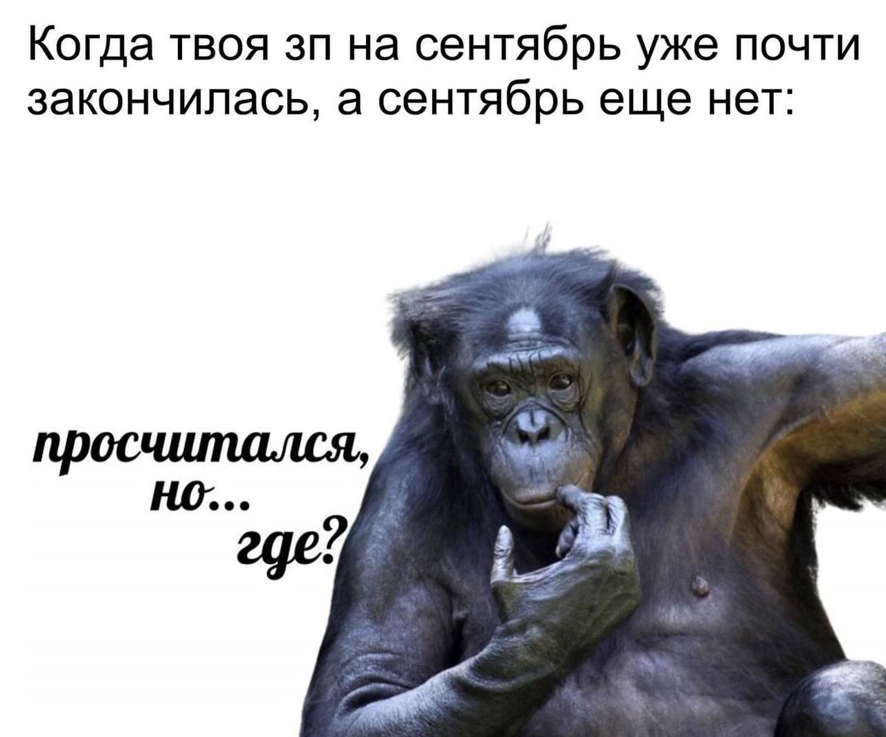 Когда твоя на сентябрь уже почти закончилась, а сентябрь еще нет: “as просчитался, где? 3