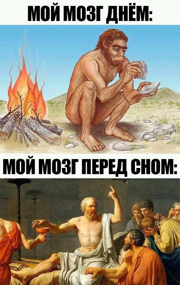 МОИ МОЗГ ДНЕМ: и 55 Les МОИ МОЗГ ПЕРЕД CHOM: и 4 у 3 4 A AGE i"