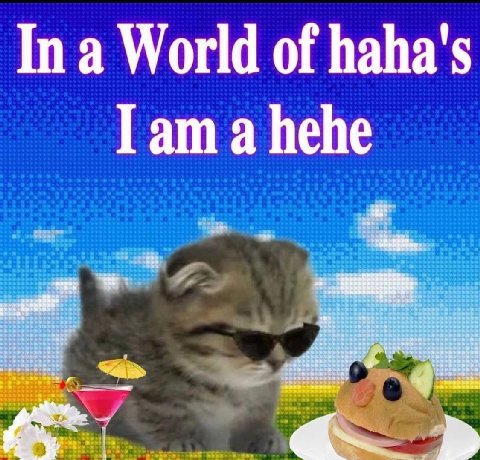 In a World of haha's Гат a hehe #5