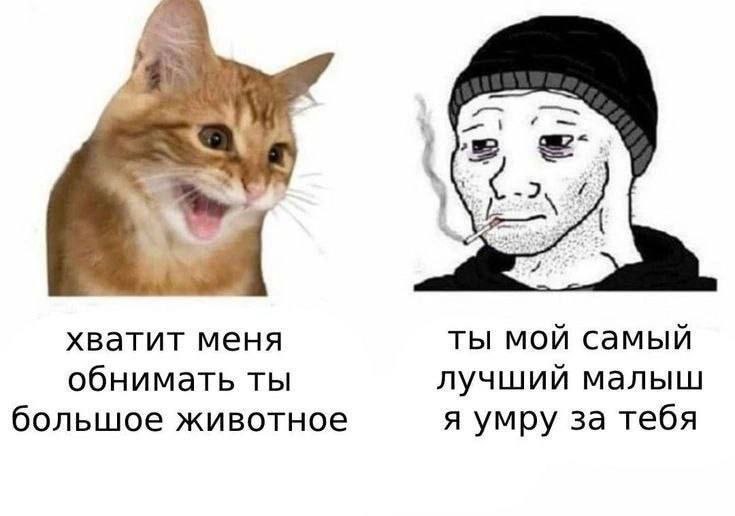 Sah: хватит меня ты мой самый обнимать ты лучший малыш большое животное я умру за тебя