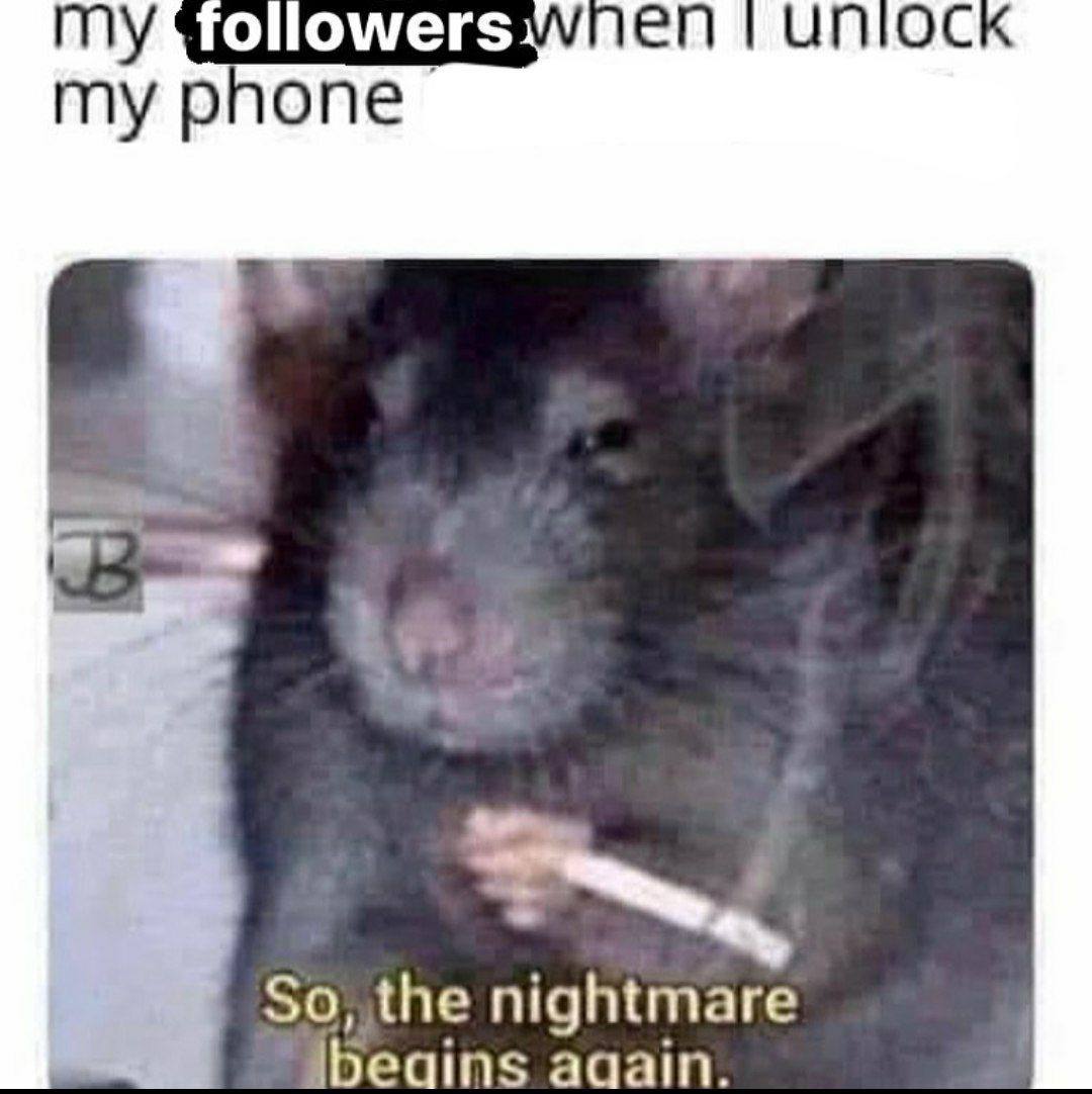 TOllowers my phone So, the nightmare ibeains ааат.