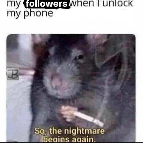 TOllowers my phone So, the nightmare ibeains ааат.
